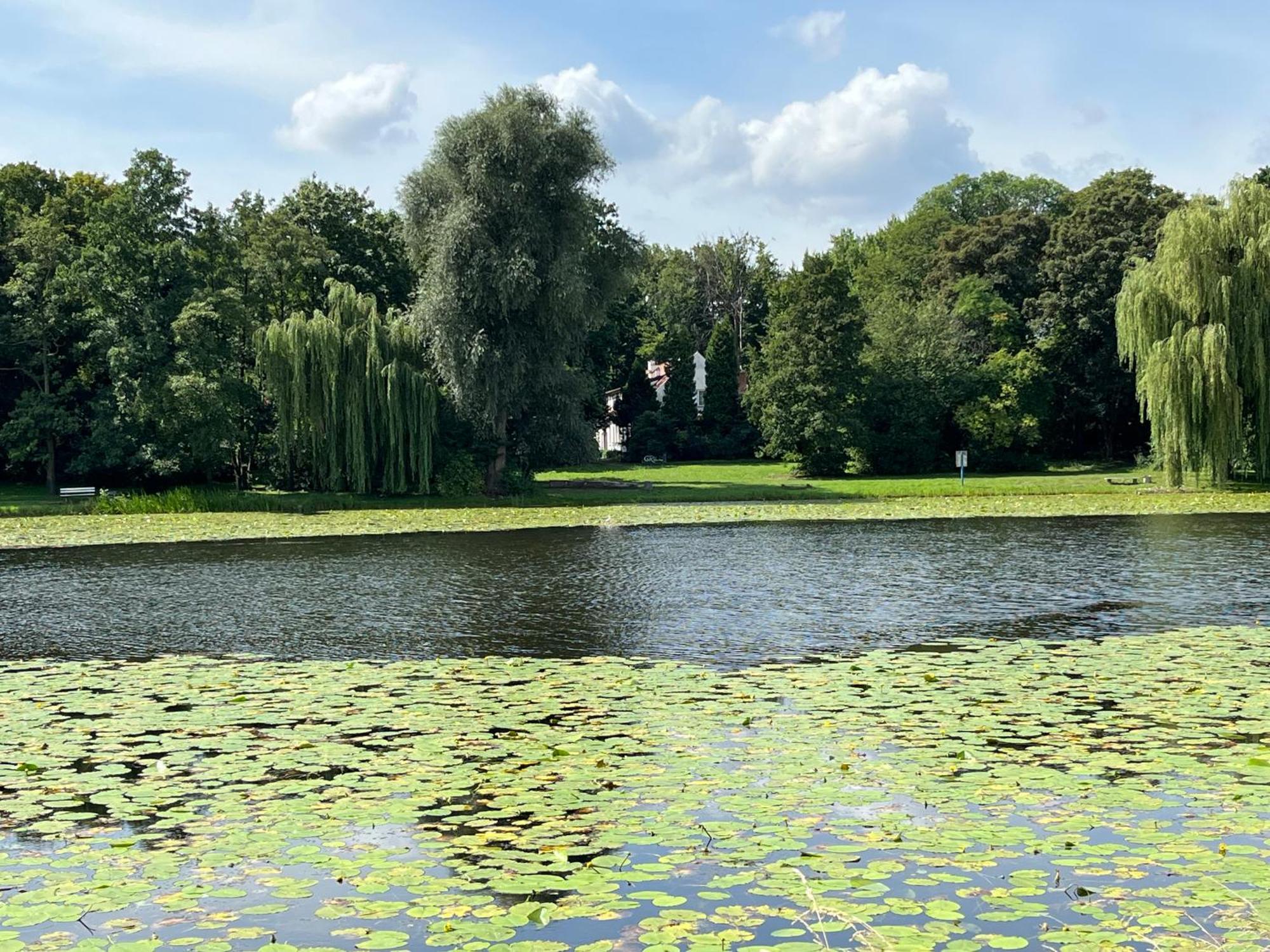 Dedek Park - Historyczny Dworek W Pieknym Parku Skaryszewskim Obok Stadionu Narodowego Βαρσοβία Εξωτερικό φωτογραφία