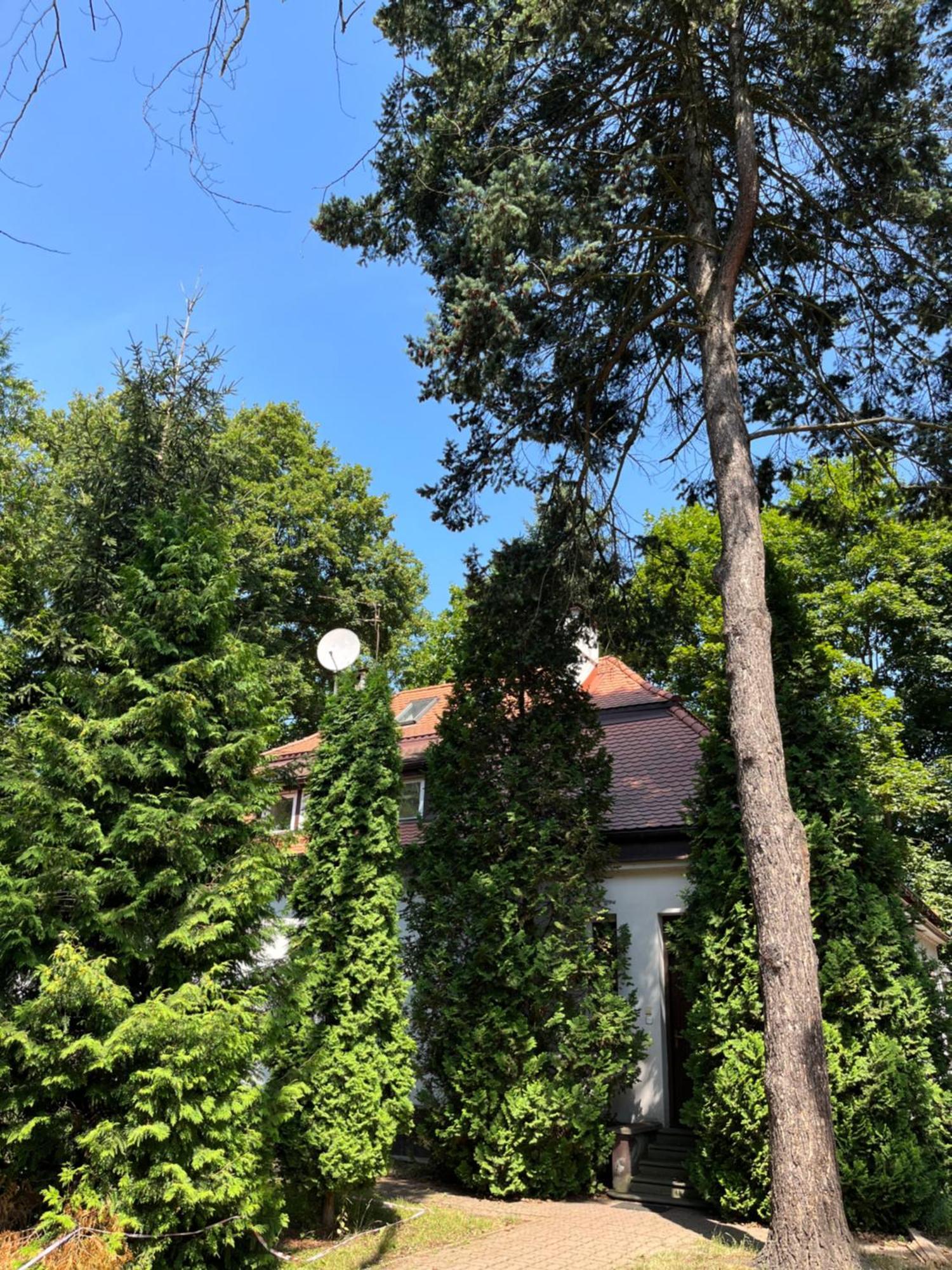 Dedek Park - Historyczny Dworek W Pieknym Parku Skaryszewskim Obok Stadionu Narodowego Βαρσοβία Εξωτερικό φωτογραφία